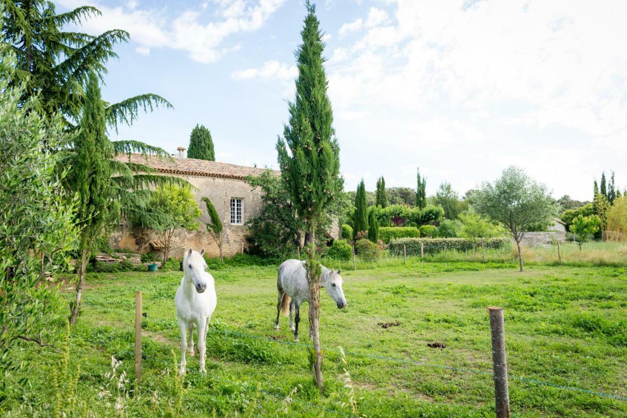Mas De La Rivoire B&B Villevieille Luaran gambar